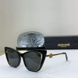 Picture of Roberto Cavalli Sunglasses _SKUfw65350542fw
